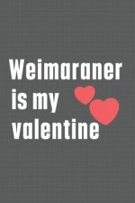 Weimaraner is my valentine: For Weimaraner Dog Fans