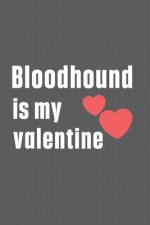 Bloodhound is my valentine: For Bloodhound Dog Fans