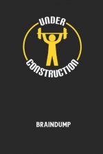 Braindump: Arbeitsbuch, um Gedanken und Ideen niederzuschreiben - für einen freien Kopf und neue Inspiration!