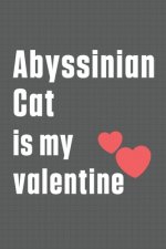 Abyssinian Cat is my valentine: For Abyssinian Cat Fans