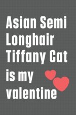 Asian Semi Longhair Tiffany Cat is my valentine: For Asian Semi Longhair Tiffany Cat Fans