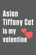 Asian Tiffany Cat is my valentine: For Asian Tiffany Cat Fans