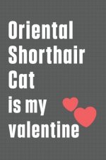 Oriental Shorthair Cat is my valentine: For Oriental Shorthair Cat Fans