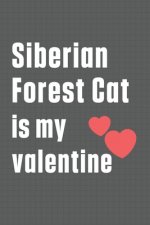 Siberian Forest Cat is my valentine: For Siberian Forest Cat Fans