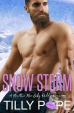 Snow Storm: A Mountain Man Baby Daddy Romance