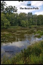 Off The Beaten Path: 4 year Blood Glucose Tracker