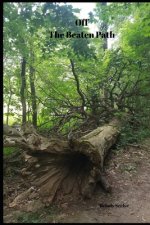 Off The Beaten Path: 4 year Blood Glucose Tracker
