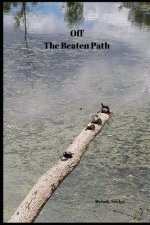 Off The Beaten Path: 4 year Blood Glucose Tracker