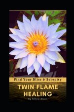 Twin Flame Healing: Find Your Bliss & Healing