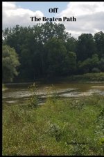 Off The Beaten Path: 4 year Blood Glucose Tracker