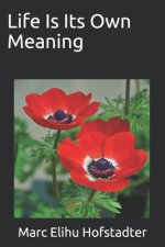 Life Is Its Own Meaning
