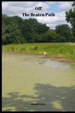 Off The Beaten Path: 4 year Blood Glucose Tracker