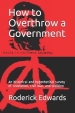 How to Overthrow a Government