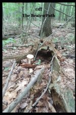 Off The Beaten Path: 4 year Blood Glucose Tracker