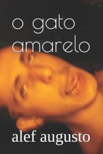 o gato amarelo