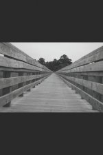 Meet Me by the Lane: A Novel of the End, Part V