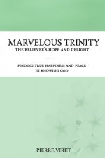 Marvelous Trinity, the Believer's Hope and Delight