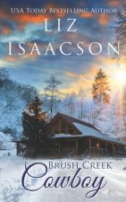 Brush Creek Cowboy: Christian Contemporary Western Romance