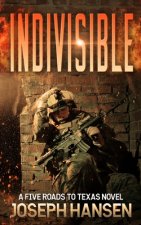Indivisible: Ian's Road 3
