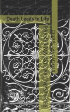 Parker MacStuart Mysteries: Death Leads to Life