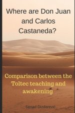 Where are Don Juan and Carlos Castaneda?