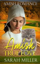 Amish True Love: Amish Short Romance Fiction