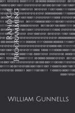 Rapid C# Programming