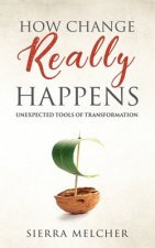 How Change Really Happens