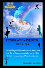 Estimulación Prenatal del Alma: Una sencilla guía dirigida a las futuras mamás para crear Seres Humanos conectados con su misión de vida y Conscientes