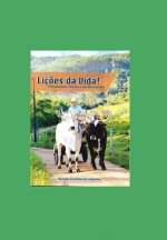 Liç?es Da Vida