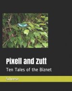 Pixell and Zutt: Ten Tales of the Biznet