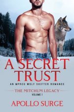 A Secret Trust: An Mpreg Wolf Shifter Romance