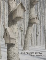 Midnight Passages: Julio Figueroa Beltran