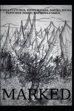 Marked: A story between two people and two worlds