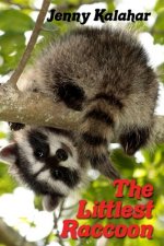 Littlest Raccoon