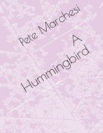 A Hummingbird