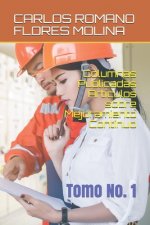 Columnas Publicadas Artículos sobre Mejoramiento Continuo: Tomo No. 1