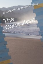 The Consultant