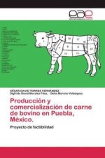 Produccion y comercializacion de carne de bovino en Puebla, Mexico.