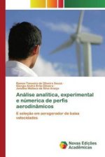 Analise analitica, experimental e numerica de perfis aerodinamicos