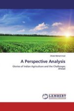 Perspective Analysis