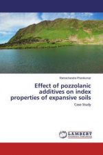 Effect of pozzolanic additives on index properties of expansive soils