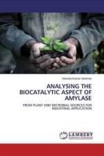 Analysing the Biocatalytic Aspect of Amylase