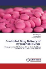Controlled Drug Delivery of Hydrophobic Drug