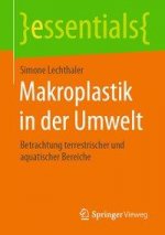 Makroplastik in Der Umwelt