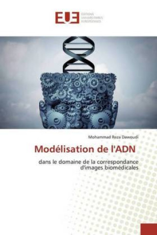Modélisation de l'ADN