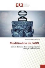 Modélisation de l'ADN