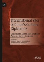 Transnational Sites of China's Cultural Diplomacy