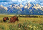 Grand Teton National Park 1000-Piece Puzzle