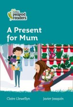 Level 3 - A Gift for Mum